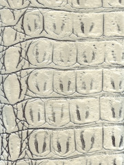 beautiful  leather texture for background