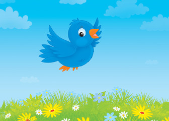 blue bird flying over a meadow with wildflowers
