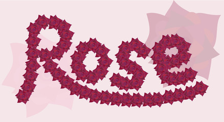 inscription of roses