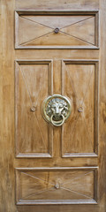 Door with ancient style carved lion head knocker