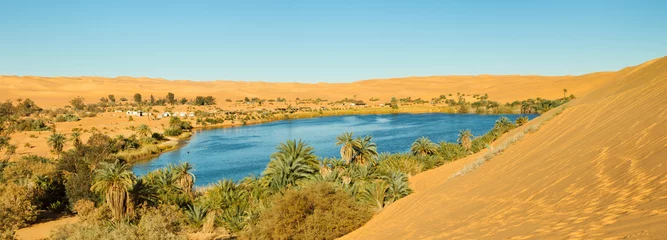 Foto op Plexiglas Panorama van de Sahara-oase © Patrick Poendl