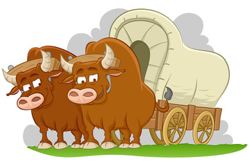 Bulls drawn covered wagon