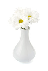 chrysanthemum in vase