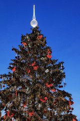 Christmas Tree on the blue Sky