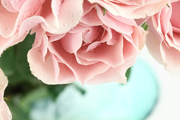 Pink Tea Roses