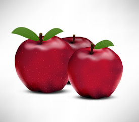 Apples Illustration
