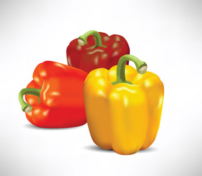 Peppers Illustration