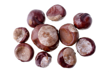 Chestnuts, isolated over white