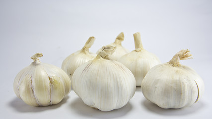 Obraz premium garlic
