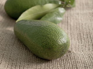 avocado on a bag