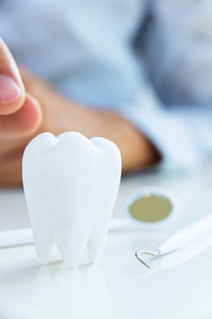 close up of molar,dental concept