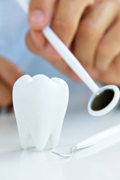 molar,dental concept