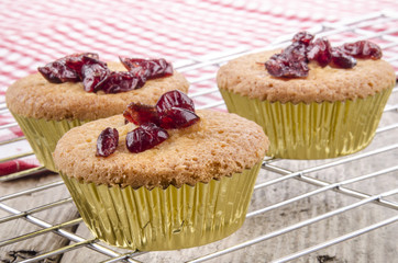 hausgemachte cupcake mit getrockneten Preiselbeeren