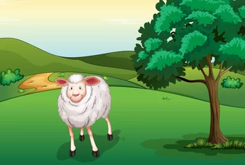 Poster de jardin Ferme Un mouton souriant