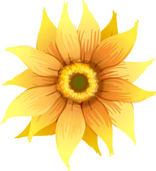 A yellow flower