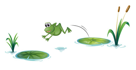 Obraz premium A jumping frog