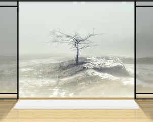 Zen room with Lonely tree in fog background
