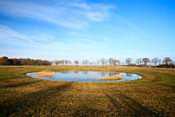 little round pond