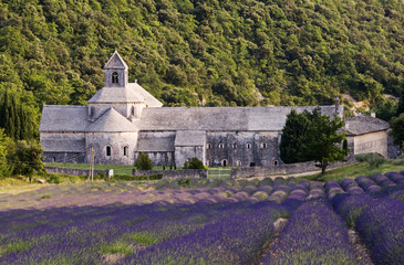 Provence monastery