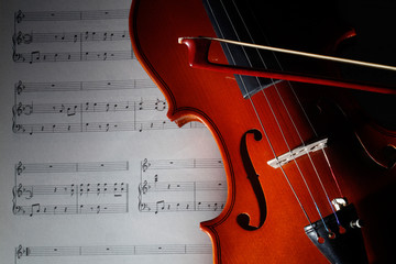 violino