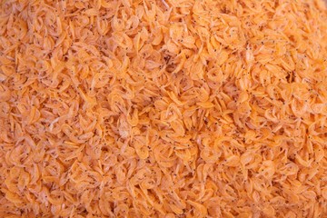 fresh shrimps background