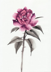 Obraz premium Pink rose