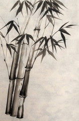 Watercolor painting of bamboo