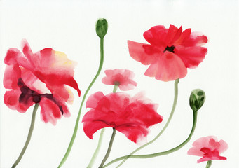 Fototapeta na wymiar Watercolor painting of red poppies