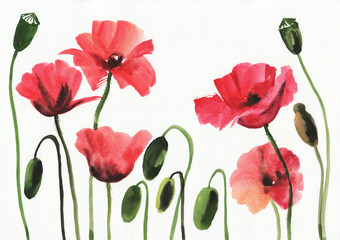Obraz premium Watercolor painting of red poppies