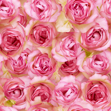 Nostalgische Rosen endloses Muster