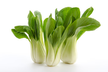 Pak Choi