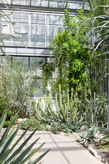 Obraz premium Botanical Garden Na Slupi, Prague, Czech Republic