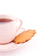 a cup of tea and biscuit