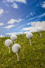 Golf equipment on green grass, golf field