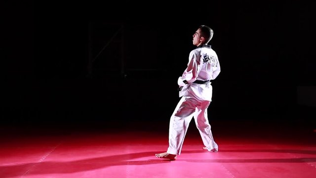 taekwondo athlete performing kicks contrast on white background