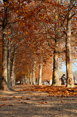 Fototapeta na wymiar Autumn promenade at Lake Balaton, Hungary
