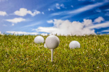 Professional golf stuff with grass