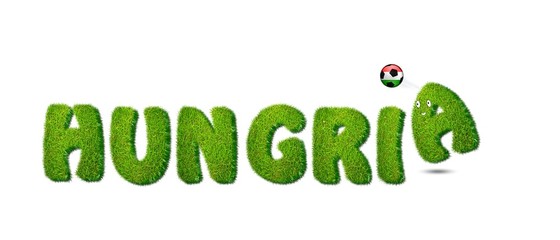 Selección húngara de fútbol. © StockPhotoAstur