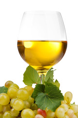 glass of wine and grapes, isolated on white