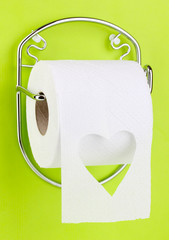Roll of toilet paper on  holder fixed to wall