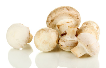 Fresh mushrooms isolated on white