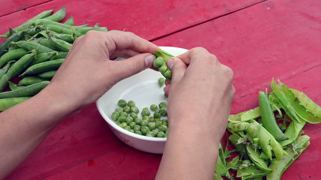 woman hands shell green pease in white dish on red wooden table.
