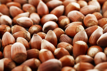 Tasty hazelnuts, close up