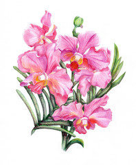 Hand-drawn orchid branch