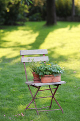 Stuhl mit Blumen im Garten