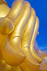 Buddha's hand.