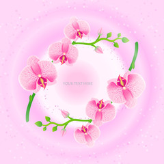 Illustration of frame with pink orchids