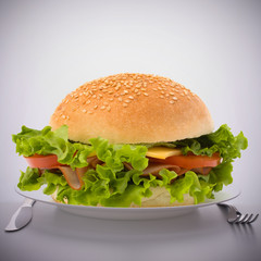 Fast food big sandwich  on plate