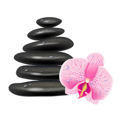 Illustration with massage stones and orchid. White background