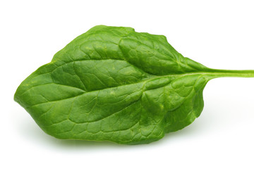 Fresh spinach